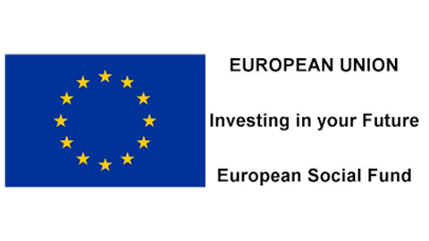 European Union Investing in your future European Social Fund Bru Youth Services Dublin